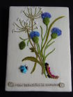 Stumpwork Cornflowers